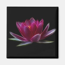 Lotus Flower Water Plant Refrigerator Magnets