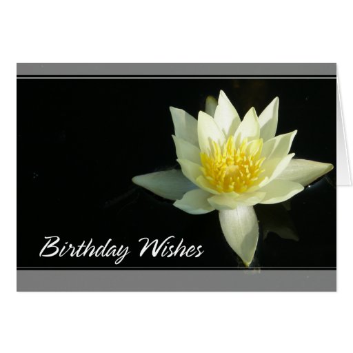 Lotus Flower/Waterlily Birthday Greeting Cards Zazzle