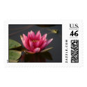 Lotus flower with frog postage by amwesley Lotus flower with frog postage