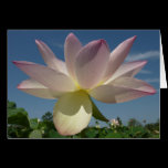 Lotus Flowers and Blue Sky Card