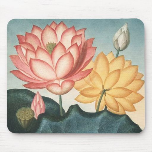 Lotus flowers - Artwork Lotus pad Mouse Pad