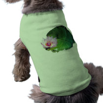 Lotus Flowers pet clothing
