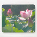 Lotus Flowers in Bloom mousepads by Intelligent_Dezign Lotus Flowers in Bloom mousepads