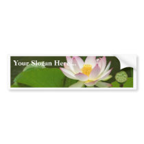 Lotus Flowers Ponds bumper stickers by lifesphere Lotus Flowers Ponds bumper stickers