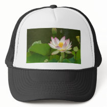 Lotus Flowers Ponds Mesh Hat
