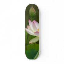 Lotus Flowers Ponds skateboards by lifesphere Lotus Flowers Ponds skateboards