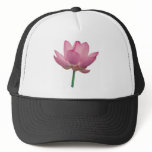 Lotus hats