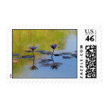Lotus II Postage Stamp