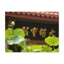 Lotus in A Temple Postcard