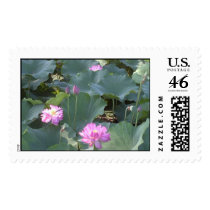 Lotus in Japan postage