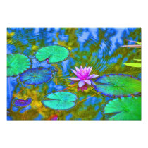 Lotus Lily Pad Water Lily in an Italian Garden Photograph