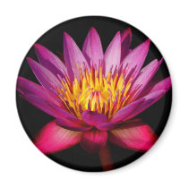 Lotus Magnet