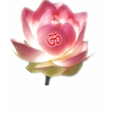 Lotus Om Tee Shirts by sarahlakey