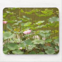 Lotus Plants mousepads