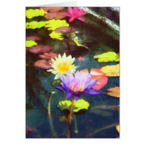 Lotus Pond cards