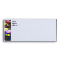 Lotus Pond envelopes