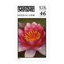 Lotus postage