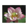 Lotus Postcard