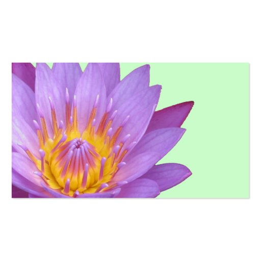 Lotus Profile/Business card