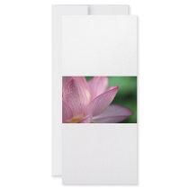 LOTUS rack cards by jameshenrydosher LOTUS rack cards