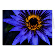 LOTUS RAIN cards