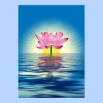 Lotus Reflection posters by Lidusik Lotus Reflection posters
