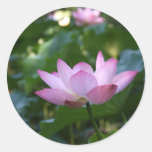 Lotus Round Stickers