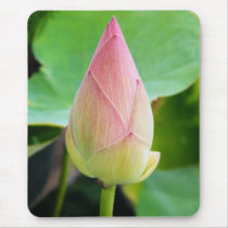 Lotus Solitude mousepads
