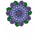 Lotus Star Shirt