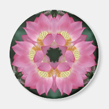 Lotus Starburst Refrigerator Magnets