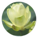 Lotus stickers by iiiyaaa Lotus stickers