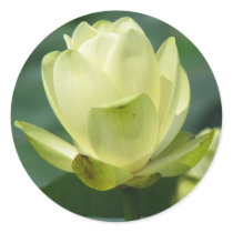 Lotus stickers