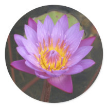 Lotus Stickers