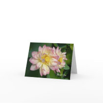Lotus,Thank You cards