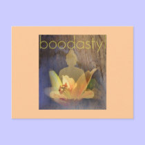 lotusbooda postcards by boodastyl lotusbooda postcards