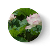 Lotuses buttons