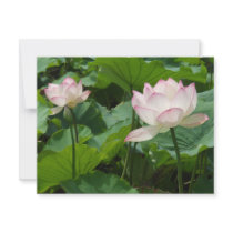 Lotuses invitations