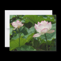 Lotuses invitations