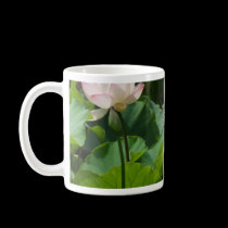 Lotuses mugs