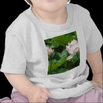 Lotuses t-shirts
