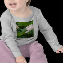Lotuses t-shirts