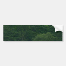 Lough Gill Bumper Sticker