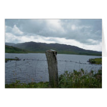 Lough Leane cards by katmal Lough Leane cards