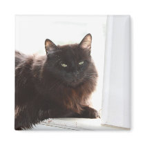 Louie magnets by knotth Louie magnets