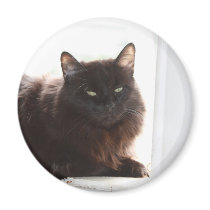 Louie magnets by knotth Louie magnets