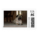 Louie Stamp by ZayNet Louie Stamp