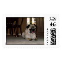 Louie Stamp by ZayNet Louie Stamp