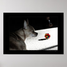 Louie vs Ball Posters