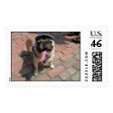 Louie Woofstock postage by ZayNet Louie Woofstock postage