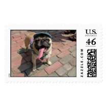 Louie Woofstock Postage Stamps